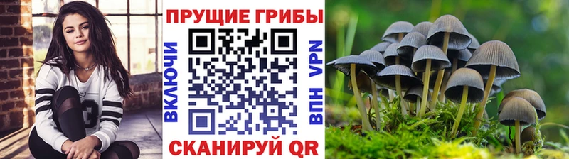 Галлюциногенные грибы MAGIC MUSHROOMS  купить   Ленинградская 