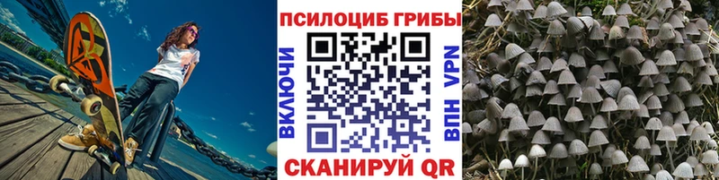 Галлюциногенные грибы Magic Shrooms Ленинградская